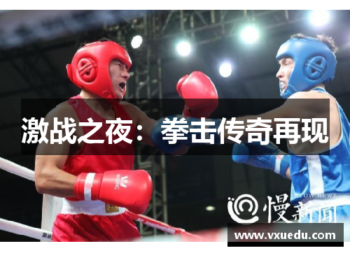 激战之夜：拳击传奇再现